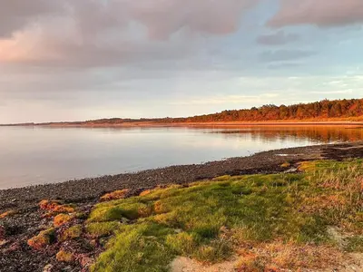 a large body of water with trees in the background at 6 person holiday home in Farsø-By Traum in Farsø