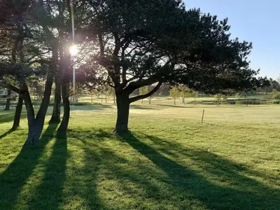 a tree in a field with the sun behind it at 6 person holiday home in Nibe-By Traum in Nibe