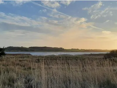 a field with tall grass and a body of water at 6 person holiday home in Bedsted Thy-By Traum in Bedsted Thy