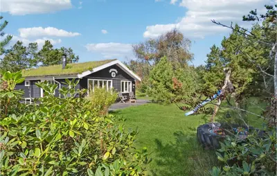 a black house with a grass roof at 3 Bedroom Cozy Home In Blokhus in Blokhus