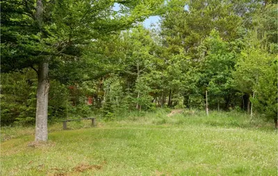 a field with a tree in the middle of a forest at 3 Bedroom Gorgeous Home In Pandrup in Pandrup