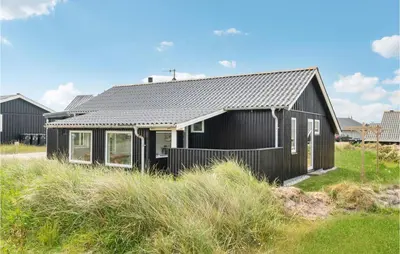 a black house sitting on top of a grass field at Nice Home In Thisted With Kitchen in Thisted
