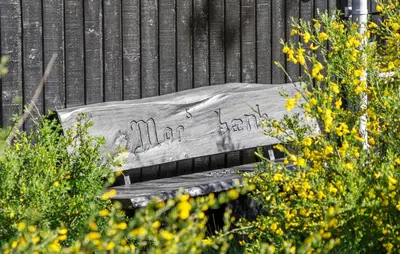 a wooden bench with graffiti on it next to a fence at Beautiful Home In Thisted With Kitchen in Thisted