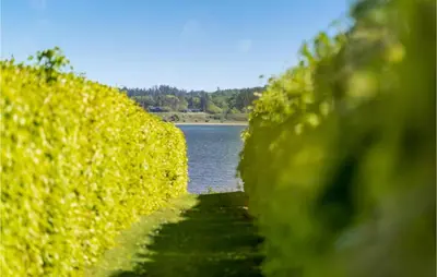 a row of hedges next to a body of water at 3 Bedroom Cozy Home In Højslev in Højslev
