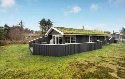 a black house with a grass roof at Cozy Home In Pandrup With Kitchen in Pandrup