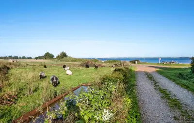 a group of animals grazing in a field next to a dirt road at Amazing Home In Nykøbing M With Wifi in Tæbring