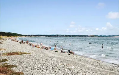 a group of birds standing on a beach at Nice Home In Blokhus With Sauna in Blokhus
