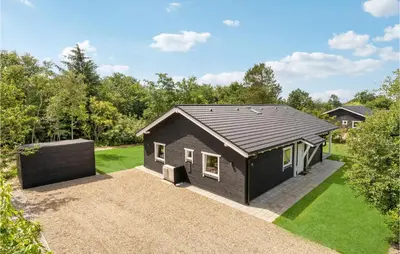 a black house with a black roof at Gorgeous Home In Thyholm With Wifi in Thyholm
