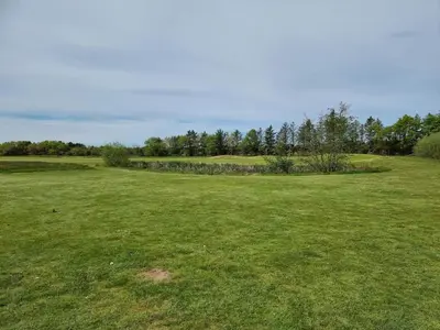 a large field of grass with trees in the background at 6 person holiday home in Pandrup-By Traum in Pandrup
