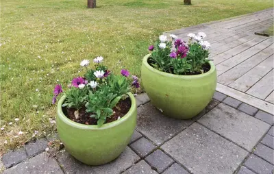 two green pots filled with flowers on a patio at Cozy Home In Lemvig With Wifi in Lemvig