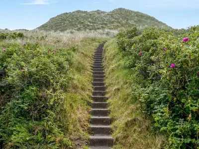 a set of stairs in a field of flowers at Holiday Home Thorfrid - 150m from the sea by Interhome in Løkken