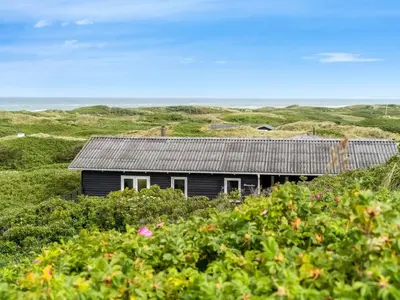 a small black house in the middle of a field at Holiday Home Thorfrid - 150m from the sea by Interhome in Løkken