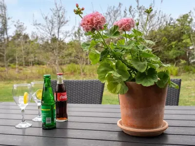 a table with a potted plant and two bottles of beer at Holiday Home Birette - 1-5km from the sea by Interhome in Blokhus