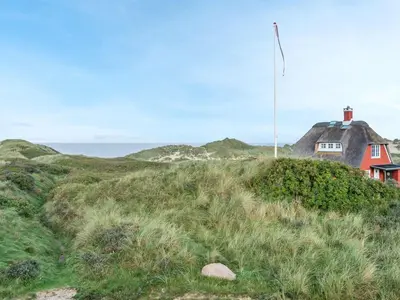 a house on top of a grassy hill at Holiday Home Henric - 100m from the sea by Interhome in Blokhus