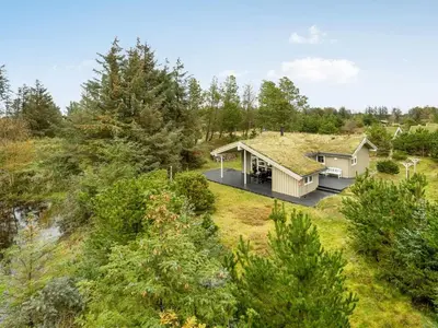 an aerial view of a house with a grass roof at Holiday Home Hereth - 700m from the sea by Interhome in Saltum