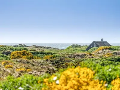 a house on the beach with the ocean in the background at Holiday Home Ehawee - 350m from the sea by Interhome in Saltum
