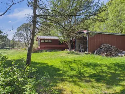 a red cabin with a grassy yard in front of it at Holiday Home Therbern - 1-7km from the sea by Interhome in Saltum