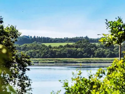 a view of a river with trees in the background at 4 person holiday home in Højslev-By Traum in Højslev