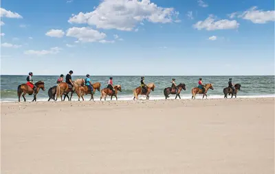 a group of people riding horses on the beach at 2 Bedroom Stunning Home In Hanstholm in Hanstholm