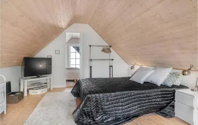 a bedroom with a bed and a flat screen tv at Lovely Home In Pandrup With Wifi in Pandrup