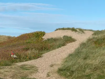 a dirt path on a hill with grass and weeds at Holiday Home Marissa - 200m from the sea by Interhome in Torsted