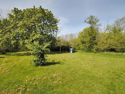 a tree in the middle of a grass field at Holiday Home Sophia - 8km from the sea by Interhome in Thisted