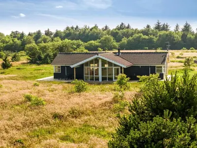 a black house in the middle of a field at Holiday Home Sulki - 3-5km from the sea by Interhome in Frøstrup