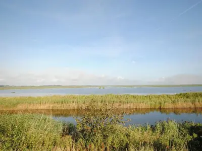 a view of a body of water with tall grass at Holiday Home Leocadia - 150m to the fjord by Interhome in Øsløs