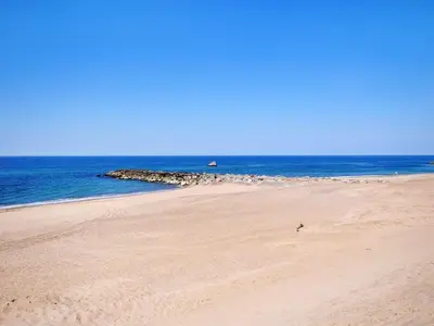 a beach with a bird on the sand and the ocean at Apartment Benta - 150m to the fjord by Interhome in Vestervig