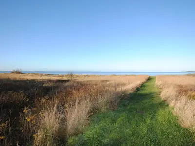 a path through a field with the ocean in the background at Holiday Home Elis - 90m to the fjord by Interhome in Roslev