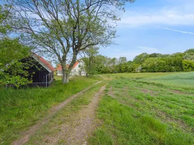 a dirt road in a field with a tree and a barn at Holiday Home Althea - 750m to the fjord by Interhome in Fur