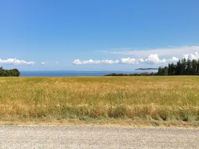 a field of tall grass next to a road at Holiday Home Kaleva - 200m to the fjord by Interhome in Fur