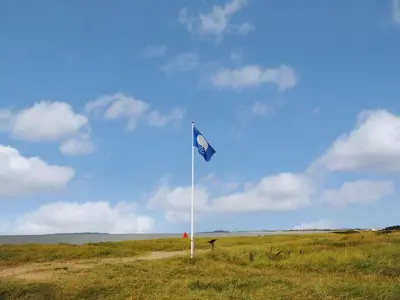 a blue flag on a pole in a field at Holiday Home Angantir - 700m to the fjord by Interhome in Løgstør