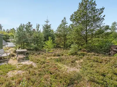 an empty yard with a picnic table and trees at Holiday Home Valo - 400m to the fjord by Interhome in Løgsted