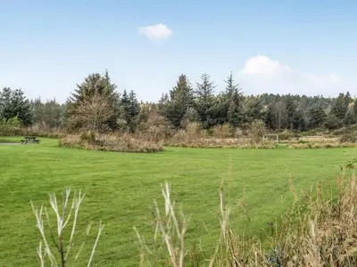 a large green field with a picnic table in it at Holiday Home Artur - 1-5km from the sea by Interhome in Fjerritslev