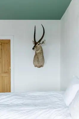 a mounted deer head on a wall next to a bed at 18b Ferielejlighed in Harboør