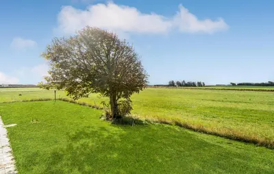 a tree in the middle of a green field at 2 Bedroom Nice Home In Bedsted Thy in Bedsted Thy
