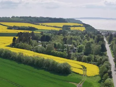 an aerial view of a field with yellow flowers at Holiday Home Aranja - 300m to the fjord by Interhome in Løgstør