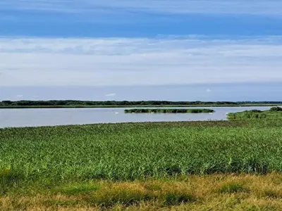 a field of grass next to a body of water at 6 person holiday home in Løgstør-By Traum in Løgstør