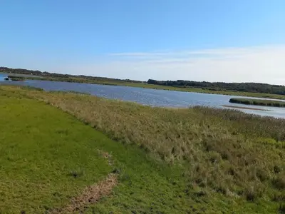 a body of water next to a grass field at 6 person holiday home in Løgstør-By Traum in Løgstør
