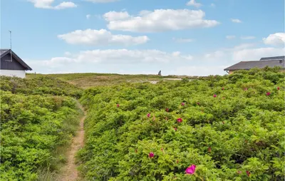 a dirt road through a field of flowers at 4 Bedroom Stunning Home In Thisted in Thisted